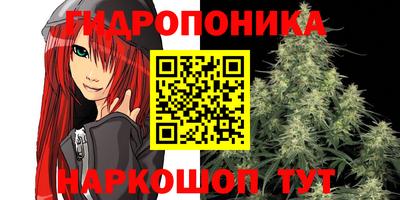 mdpv Аргун