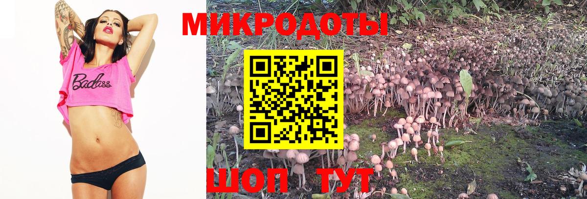 Галлюциногенные грибы ЛСД Ачинск