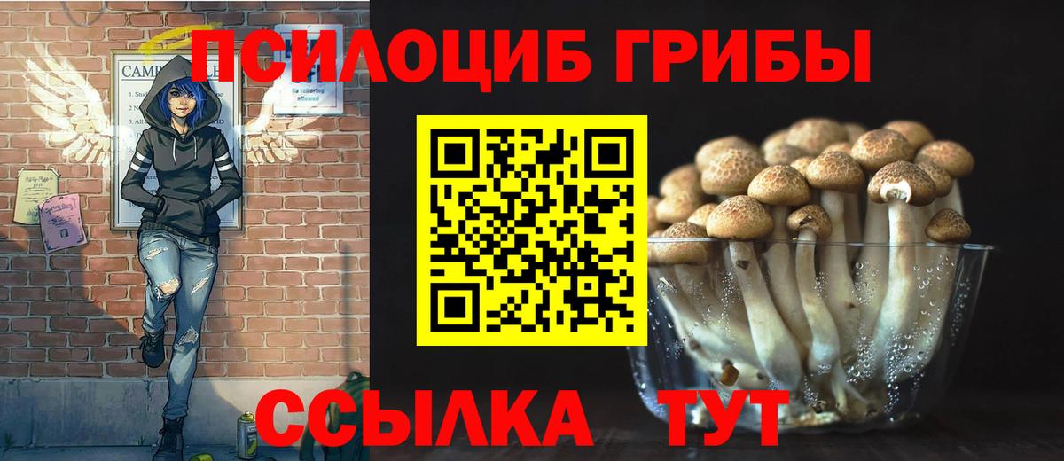 Галлюциногенные грибы прущие грибы  Вход с VPN  где купить наркоту  Ачинск 